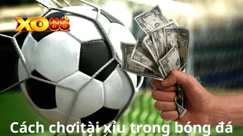 Kèo Tài Xỉu Kinh nghiệm chơi kèo tài xỉu chắc thắng từ cao thủ