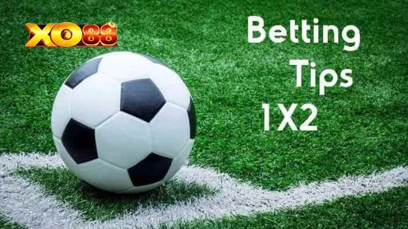 Kèo Châu Âu Ví dụ về kèo châu Âu chi tiết và dễ hiểu